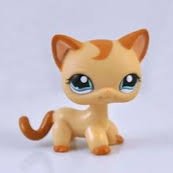 I ❤️nymed and lps