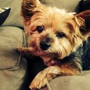 Natasha Keys - @keys_natasha - Twitter