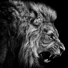 KingHD9's profile picture. FIFA Youtuber..Videos comming up soon..!Subscribe for more!Peace