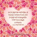 Luz Roque Aparicio - @luceliroque - Twitter