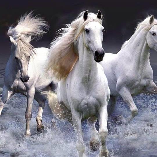 cattabrigaadvs's profile picture. Escritório de advocacia com as mais novas teses para melhor defendê-lo.