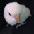 chinchodango's profile image