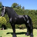 kevi dustin ponce - @kevindustin1231 - Twitter