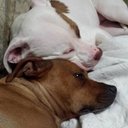 Greg belcher - @jager1204 - Twitter