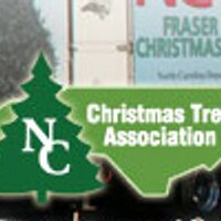 NC Christmas Trees (@ncchristmastree) 's Twitter Profile
