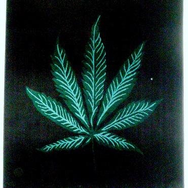 Treezus420's profile picture. Let's see I like growing weed, smoking weed, talking about weed, shit I guess I like everything about weed! #StonerNation #StonerFamily #Treezus