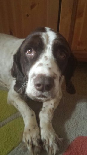 im_ol_gregg's profile picture. You go, Glen Coco.