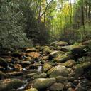 Andrew Damiani - @ADam0364 - Twitter