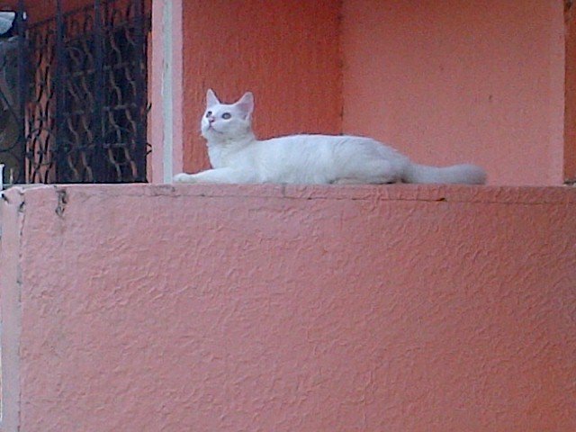 makaby2014's profile picture. 