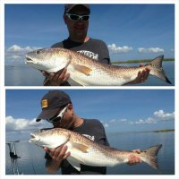 Rhys Gawlak (@swinensonschef) 's Twitter Profile