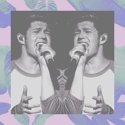 free follow , follow  @tintednjh or unfollow