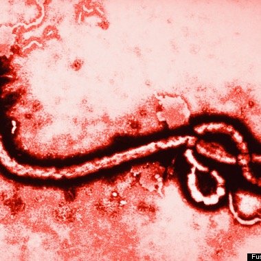 Official Center for Disease Control page regarding the Ebola Virus