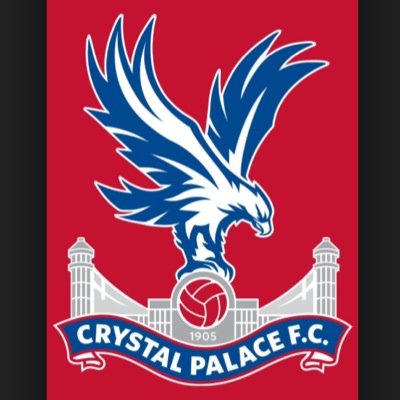 Big @CPFC fan sharing my opinion on all things palace. Season ticket holder, will follow all Eagles back! #COYP!
