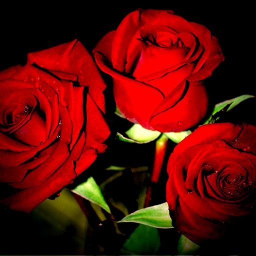 GraffMery's profile picture. 