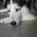 sylvia ozuna - @silviasabin58 - Twitter