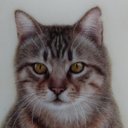 Suzanne Bradley - @_suzannebradley - Twitter