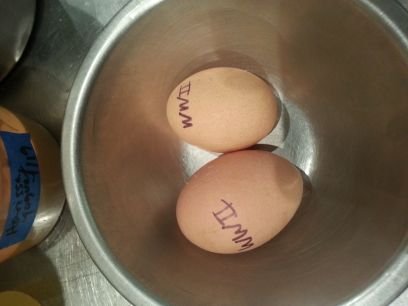 ZachDunphy1's profile picture. 