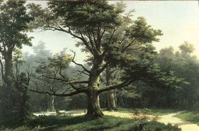 surabouf's profile picture. 