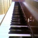 Nina Rogers - @NinaRogers - Twitter