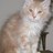 lizzy_cakes1's profile image