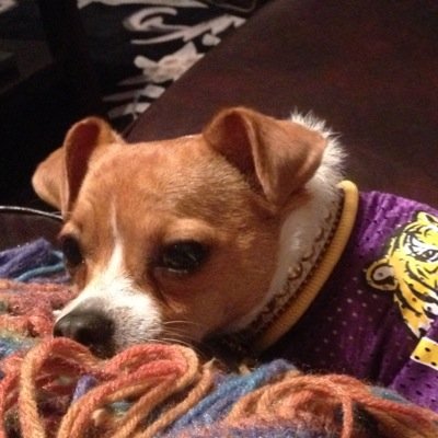 Independent, free thinker, unbranded maverick, contrarian. Detects unseen patterns & senses energy. 4ever LSU & Saints. RT = no endorsement