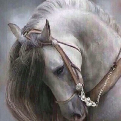عشقته اسم وتمنيت لو اني سحابة  . نصررروايه --بيشة
