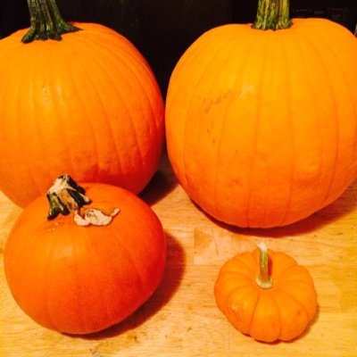 MD_Pregzilla's profile picture. Just your average woman growing a human and bitching about it.