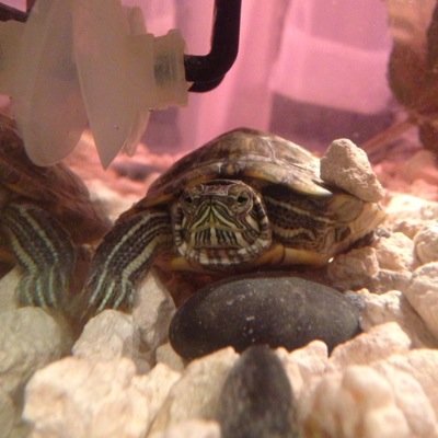 Im Sassy as they come. Eat worms. I dont fuck around or on the first date