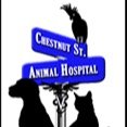 CSAHvet Profile Picture