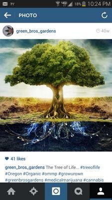 midwestcannonz's profile picture. 