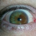 Robert Calandra - @tinyasap - Twitter