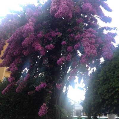 سبحان الله وبحمده ، سبحان الله العظيم .