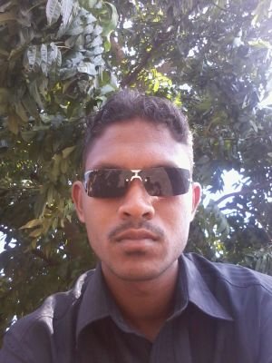 Freelance Software Engineer
