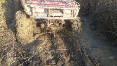 cshriver95's profile picture. 