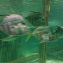 Alma Zamarripa - @alzamarri1720 - Twitter