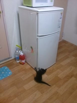 똥깡아지&똥꼬양이.                                         기다려라, 그리고 희망을 가져라