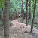 nicole snelling - @determinedmary7 - Twitter