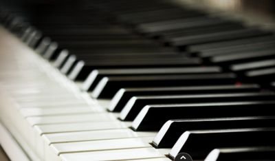 lramundson's profile picture. 