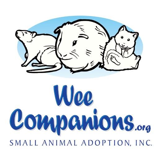 Wee Companions Small Animal Adoption, Inc., is a 501(c)(3) nonprofit devoted to the rescue, adoption & care of guinea pigs, rats, hamsters and other wee ones.