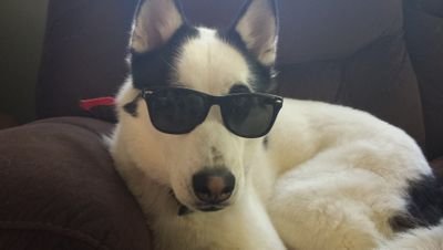 BigSteveO54's profile picture. 