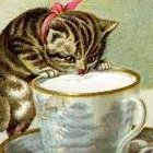 Because we can do better than Kitten Party.