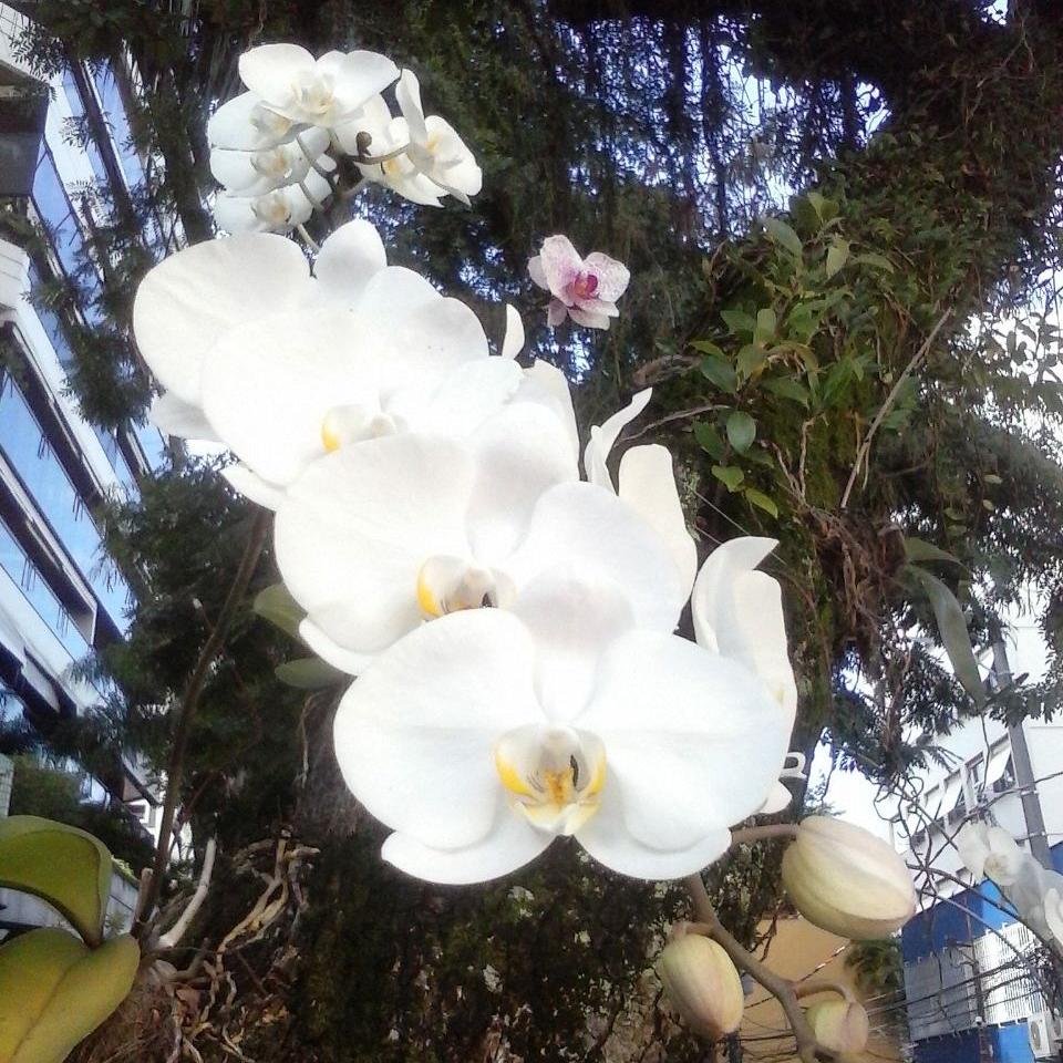 Jornalista, católica, fascinada por arte, flores, animais, serra e mar. Amo sotaques diferentes e descobrir curiosidades sobre o meu Brasil!! Sou Mengão!