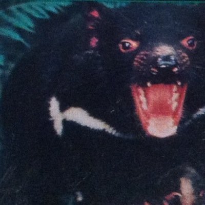 adileadile's profile picture. 