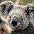 qqqq_996's profile image
