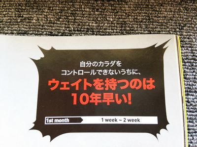 日商 社会人 12.1 S♥ ボクシング  料理 ゴルフ テニス 駅伝