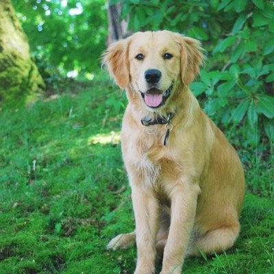 iamhenryjackson's profile picture. Instagram: @iamhenryjackson
Inquires: iamhenryjackson@gmail.com