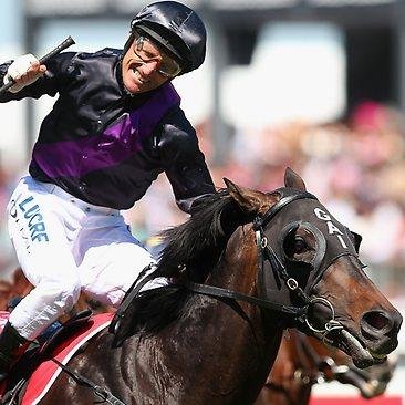 springracing14's profile picture. Horse acing tips for the Melbourne & Sydney Spring Carnival