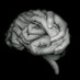 Megan EJ Campbell, PhD (@megaej_campbell) Twitter profile photo Megan EJ Campbell, PhD (@megaej_campbell) Twitter profile photo