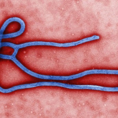 Ya better watch out fo dis yung Ebola virus i trappin niggas daily // don't follow if you don't wana see offensive tweets