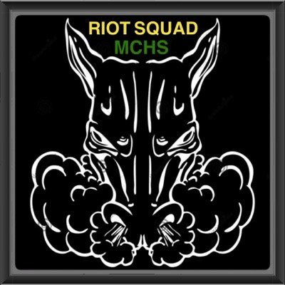 MCHSRIOTSQUAD's profile picture. NOTHING BUT POLITICAL SPIRIT! FEAR THE STAMPEDE! HELP SPREAD THE WORD! #THISISCOSTA
